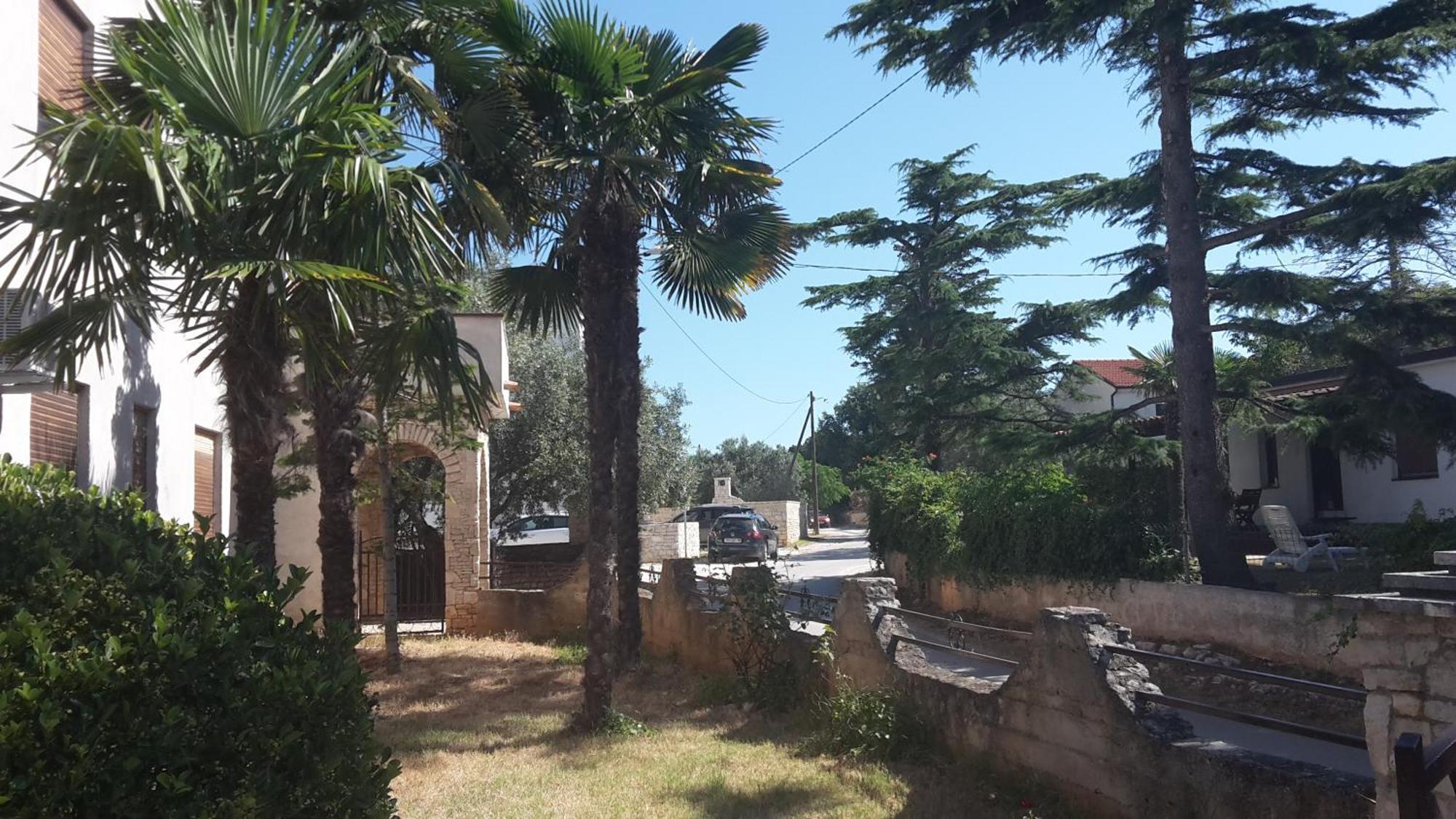 Apartment Zlata Vrcevan Μεντουλίν Εξωτερικό φωτογραφία